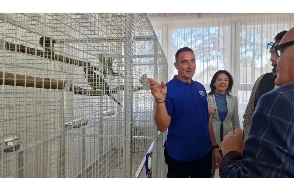 FOTO: Cez víkend sa v Trenčianskom kraji konali hodové slávnosti aj výstava exotického vtáctva, foto 10