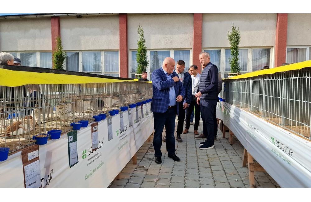 FOTO: Cez víkend sa v Trenčianskom kraji konali hodové slávnosti aj výstava exotického vtáctva, foto 16