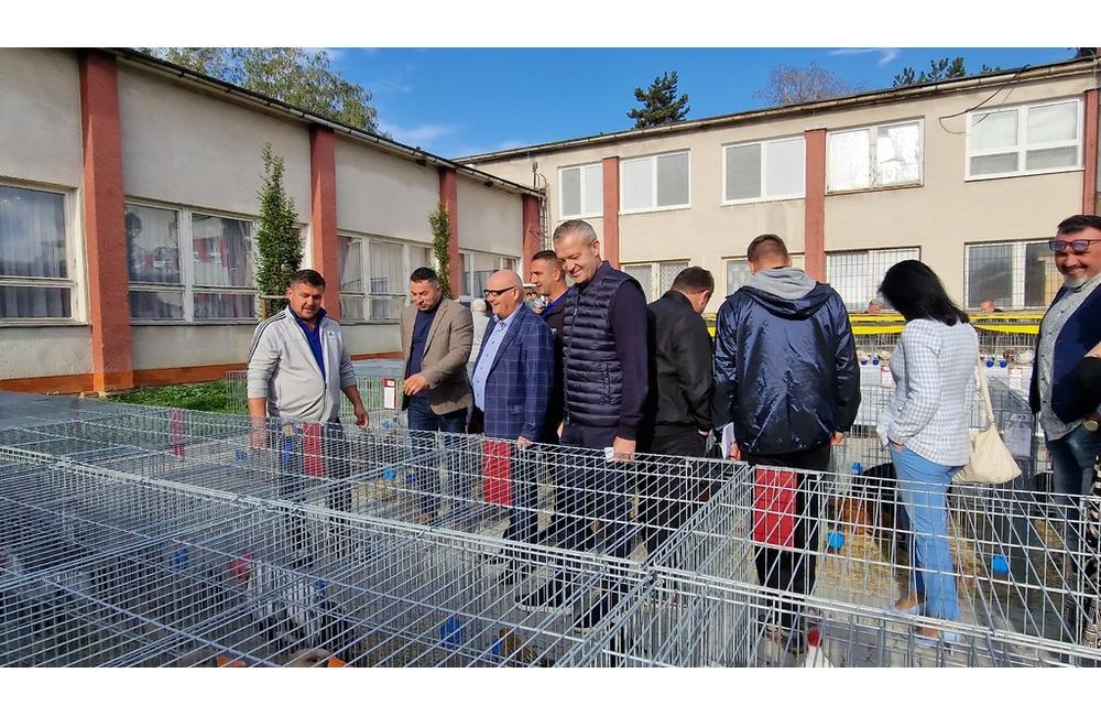 FOTO: Cez víkend sa v Trenčianskom kraji konali hodové slávnosti aj výstava exotického vtáctva, foto 18
