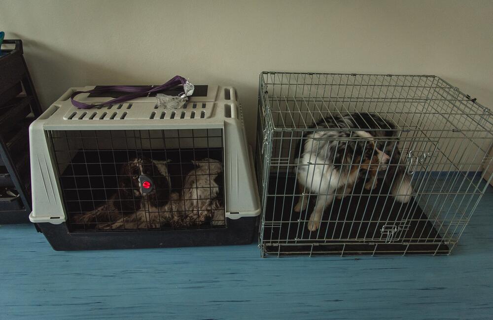 FOTO: Zmodernizované priestory internátu a kaštieľa v okrese Ilava, foto 11