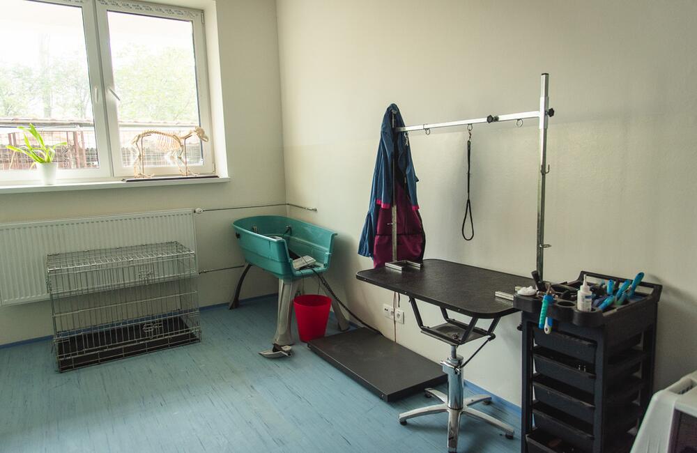 FOTO: Zmodernizované priestory internátu a kaštieľa v okrese Ilava, foto 12