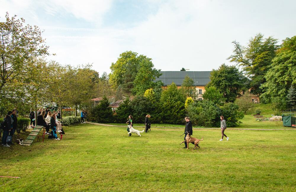 FOTO: Zmodernizované priestory internátu a kaštieľa v okrese Ilava, foto 41