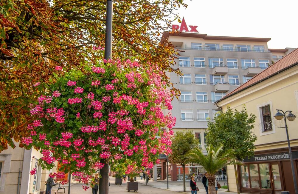 FOTO: Rozkvitnutá jeseň v kúpeľnom meste na Považí. Viete ako vznikli?, foto 1