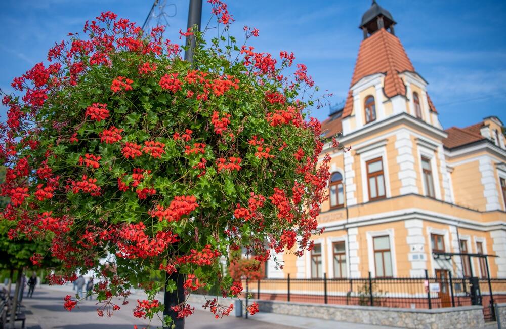 FOTO: Rozkvitnutá jeseň v kúpeľnom meste na Považí. Viete ako vznikli?, foto 3