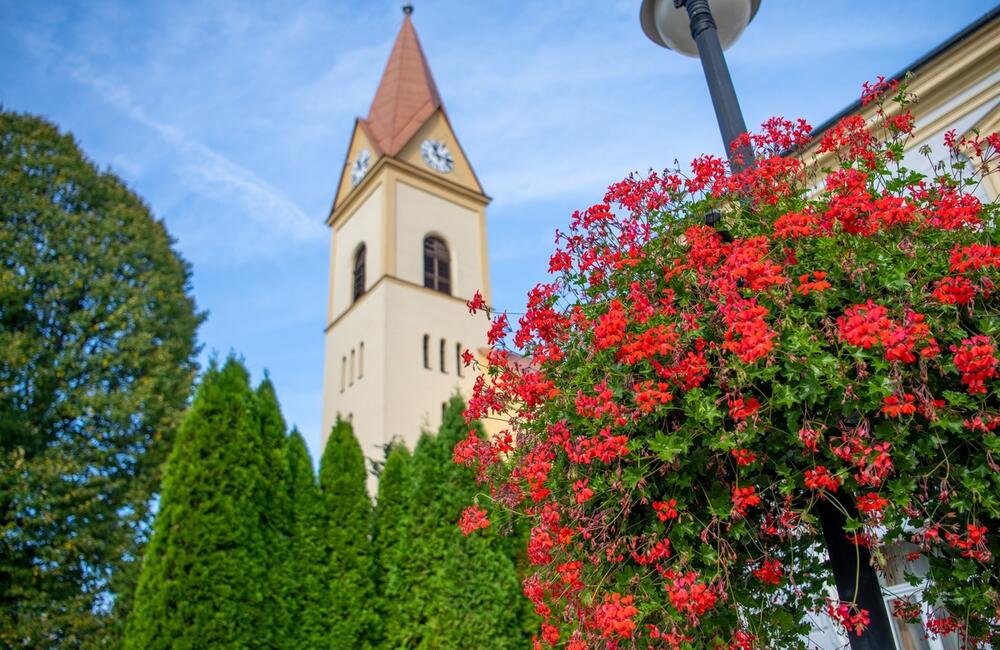 FOTO: Rozkvitnutá jeseň v kúpeľnom meste na Považí. Viete ako vznikli?, foto 4