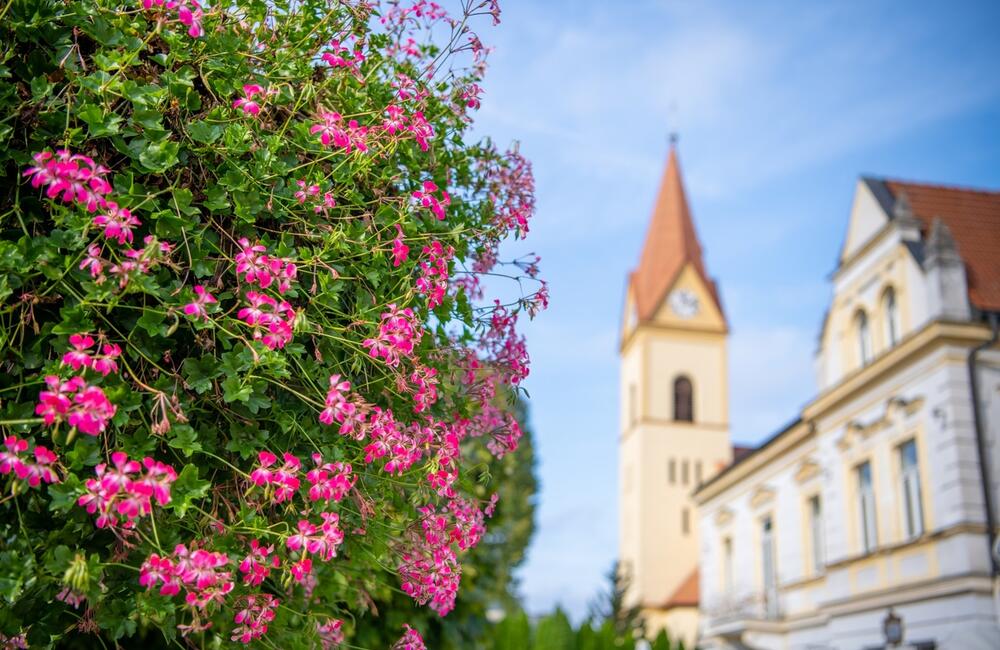FOTO: Rozkvitnutá jeseň v kúpeľnom meste na Považí. Viete ako vznikli?, foto 7
