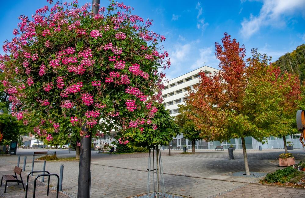 FOTO: Rozkvitnutá jeseň v kúpeľnom meste na Považí. Viete ako vznikli?, foto 8