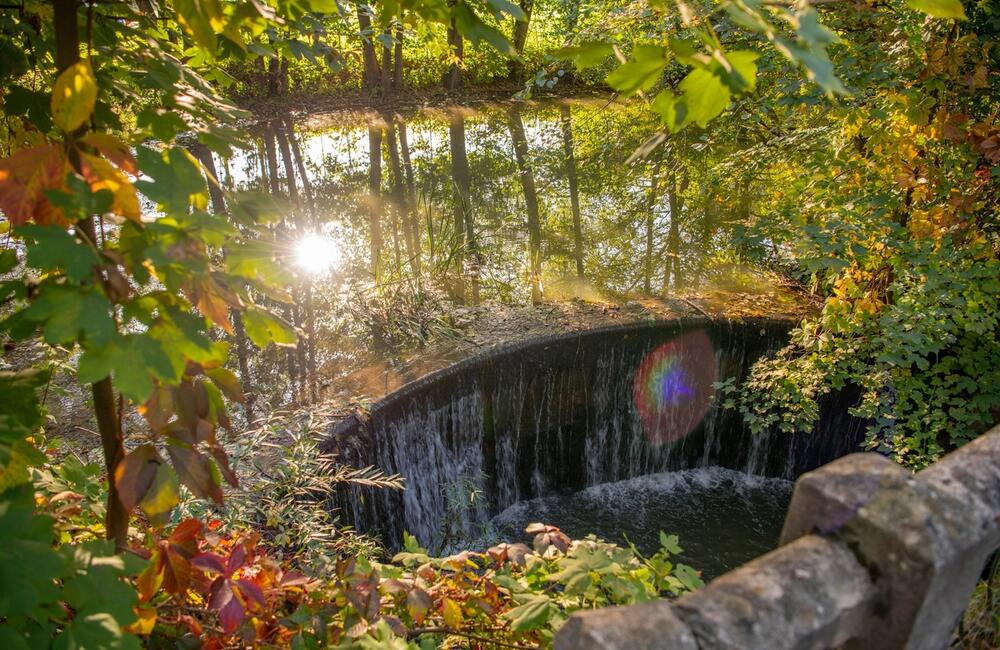 FOTO: Rozkvitnutá jeseň v kúpeľnom meste na Považí. Viete ako vznikli?, foto 9