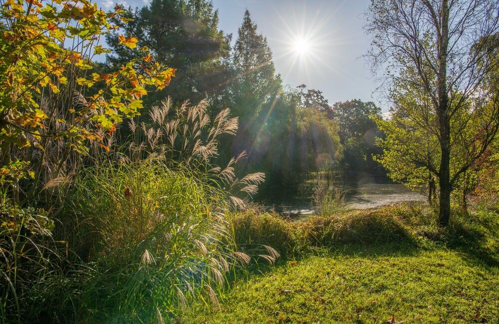 FOTO: Rozkvitnutá jeseň v kúpeľnom meste na Považí. Viete ako vznikli?, foto 13