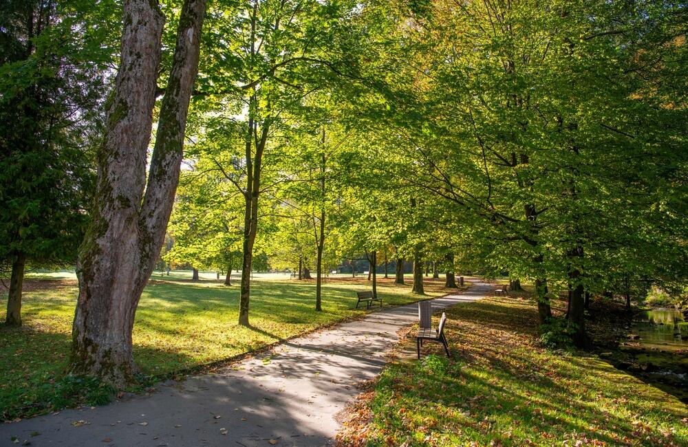 FOTO: Rozkvitnutá jeseň v kúpeľnom meste na Považí. Viete ako vznikli?, foto 15