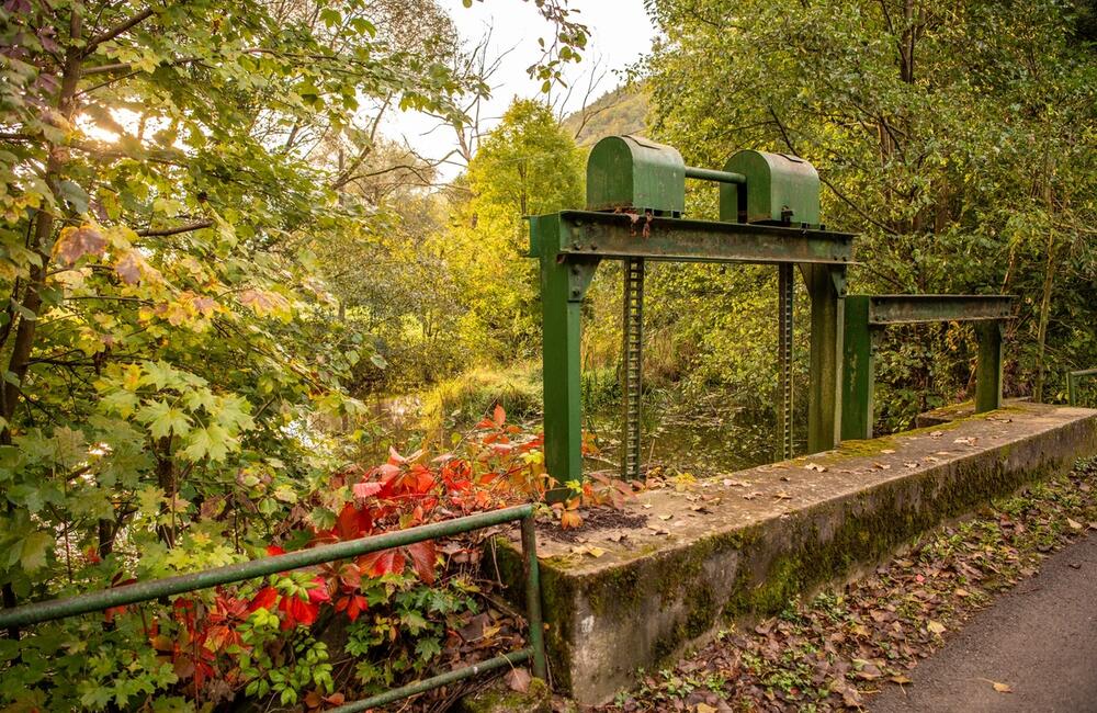 FOTO: Rozkvitnutá jeseň v kúpeľnom meste na Považí. Viete ako vznikli?, foto 16
