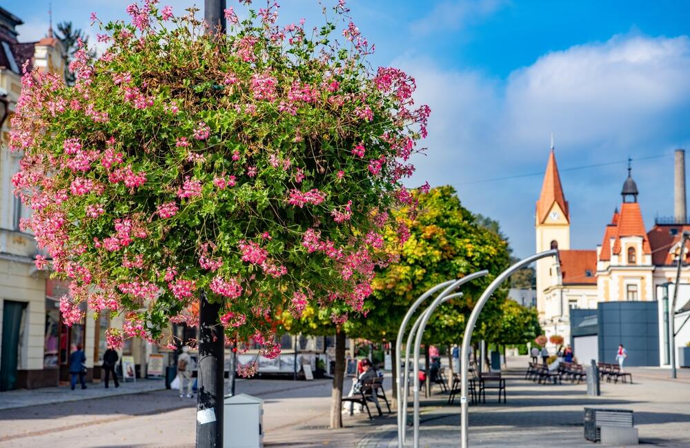 FOTO: Rozkvitnutá jeseň v kúpeľnom meste na Považí. Viete ako vznikli?, foto 17