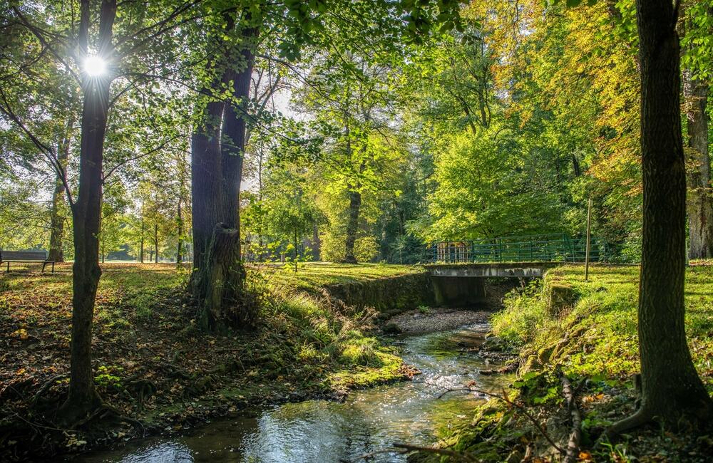 FOTO: Rozkvitnutá jeseň v kúpeľnom meste na Považí. Viete ako vznikli?, foto 18