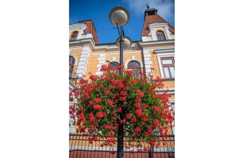 FOTO: Rozkvitnutá jeseň v kúpeľnom meste na Považí. Viete ako vznikli?, foto 19