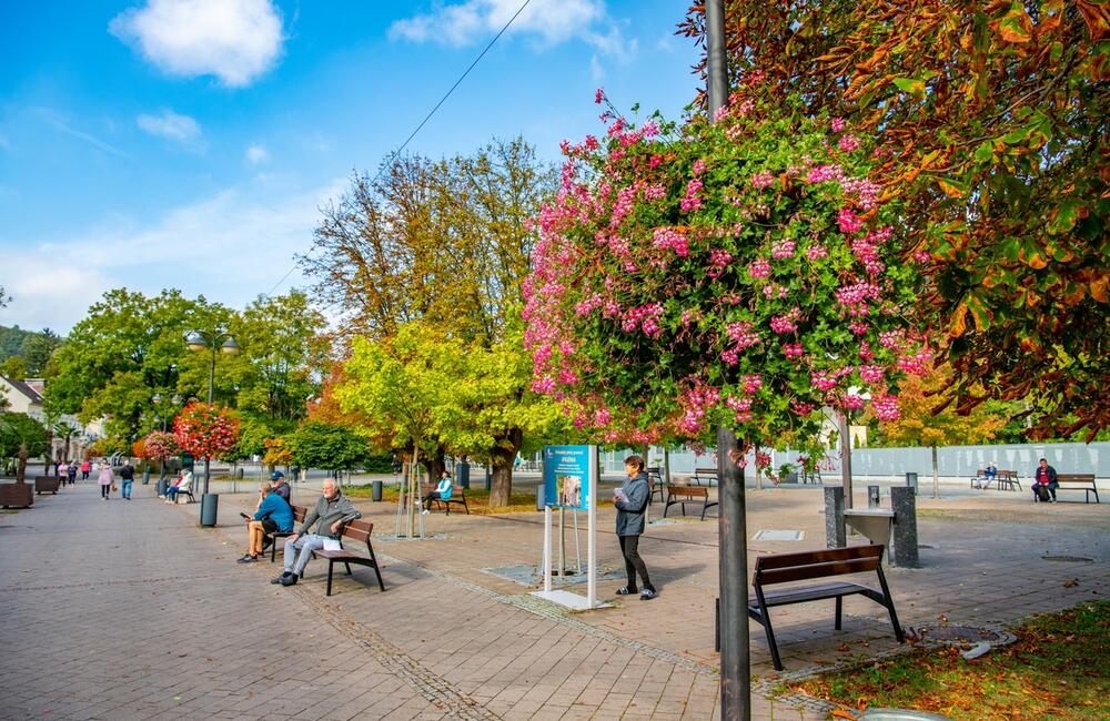 FOTO: Rozkvitnutá jeseň v kúpeľnom meste na Považí. Viete ako vznikli?, foto 20