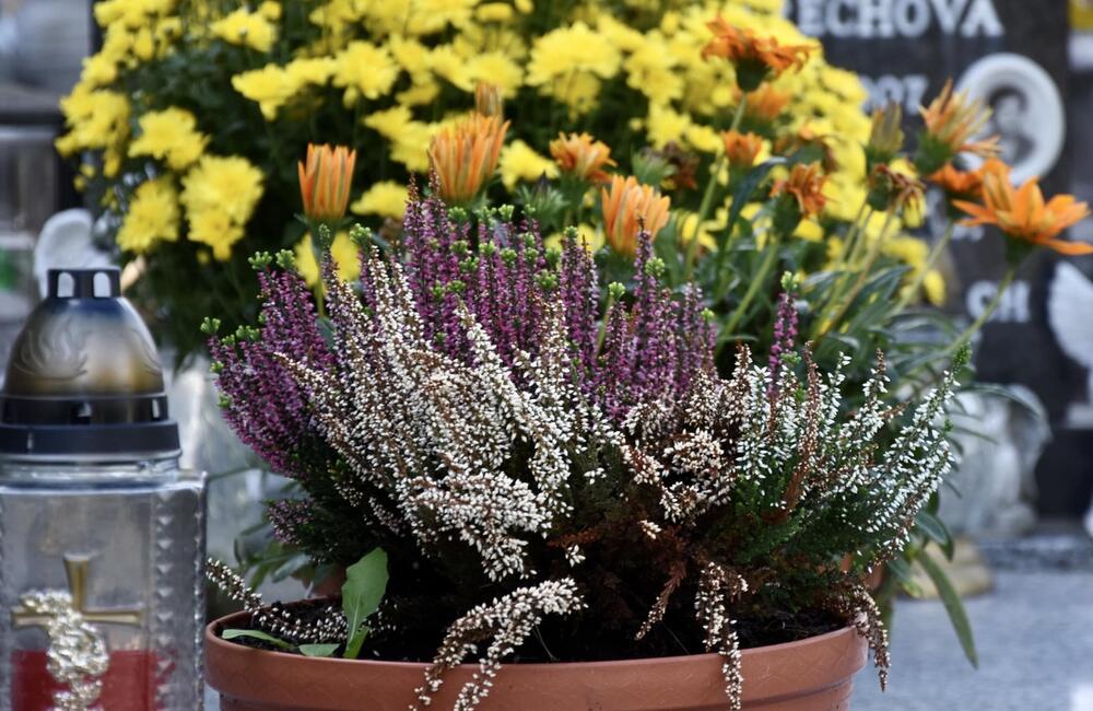 FOTO: Trenčianske cintoríny sú otvorené dlhšie. Mesto apeluje na ich návštevníkov, aby mysleli ekologicky, foto 2