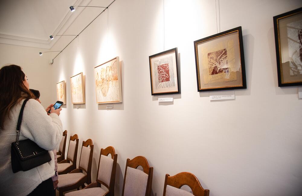 FOTO: V kaštieli pri Ilave otvárali výstavu Ruky svetla, foto 12