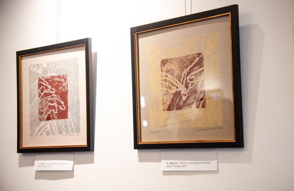 FOTO: V kaštieli pri Ilave otvárali výstavu Ruky svetla, foto 2