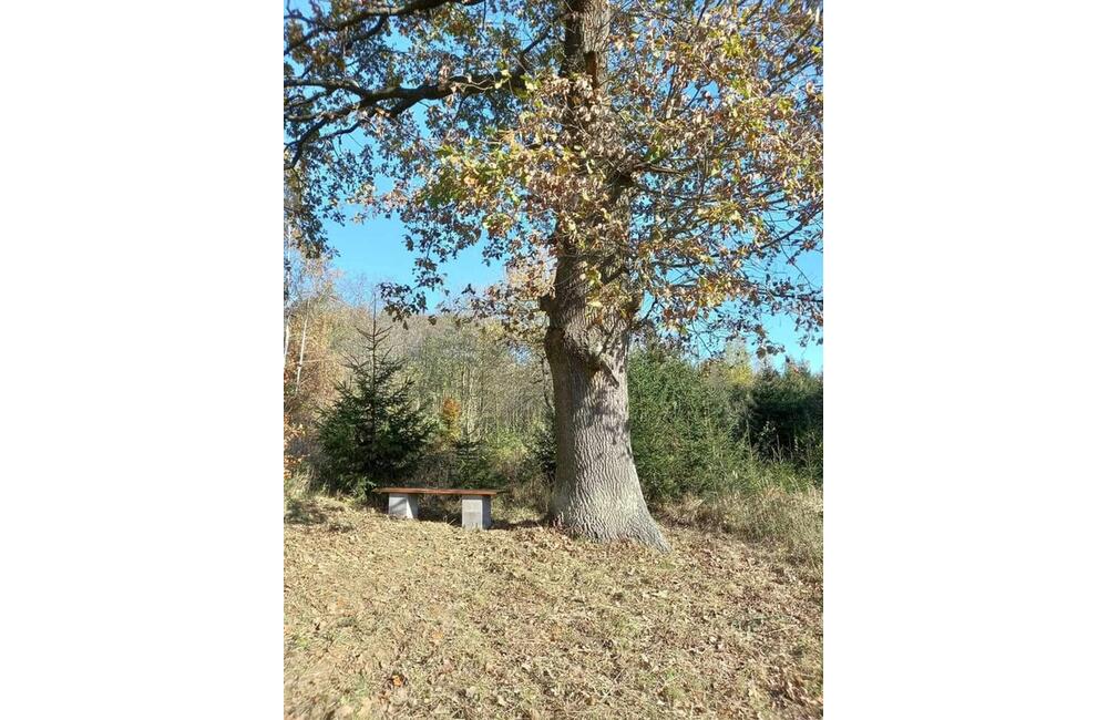 FOTO: Obec, ktorá sa pýši najväčším slovenským znakom, pripravuje ďalšiu atrakciu, foto 4