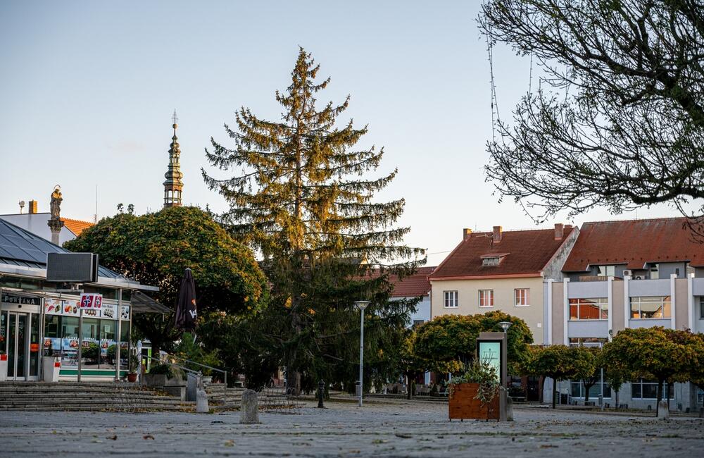 FOTO: Nové Mesto nad Váhom príde o svoj tradičný vianočný strom na námestí, foto 1