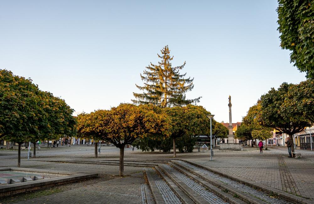 FOTO: Nové Mesto nad Váhom príde o svoj tradičný vianočný strom na námestí, foto 6
