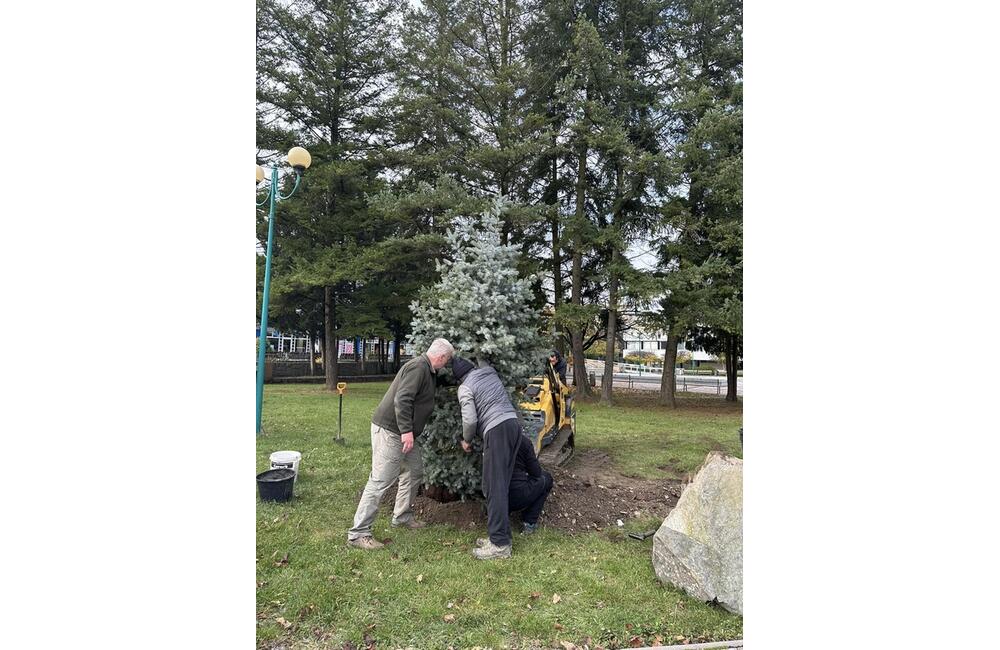 FOTO: S neodmysliteľnou súčasťou Vianoc si už v tomto meste na Považí nebudú musieť lámať hlavu, foto 1