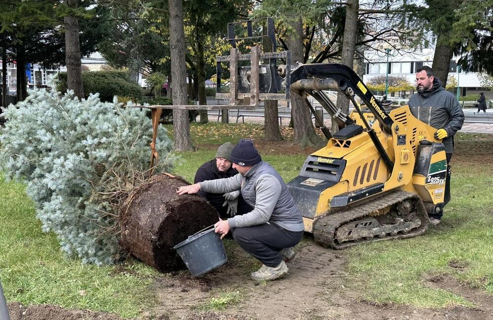 FOTO: S neodmysliteľnou súčasťou Vianoc si už v tomto meste na Považí nebudú musieť lámať hlavu, foto 3