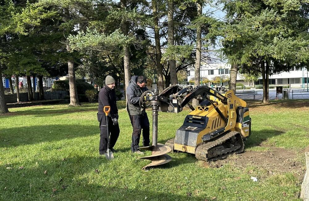FOTO: S neodmysliteľnou súčasťou Vianoc si už v tomto meste na Považí nebudú musieť lámať hlavu, foto 4