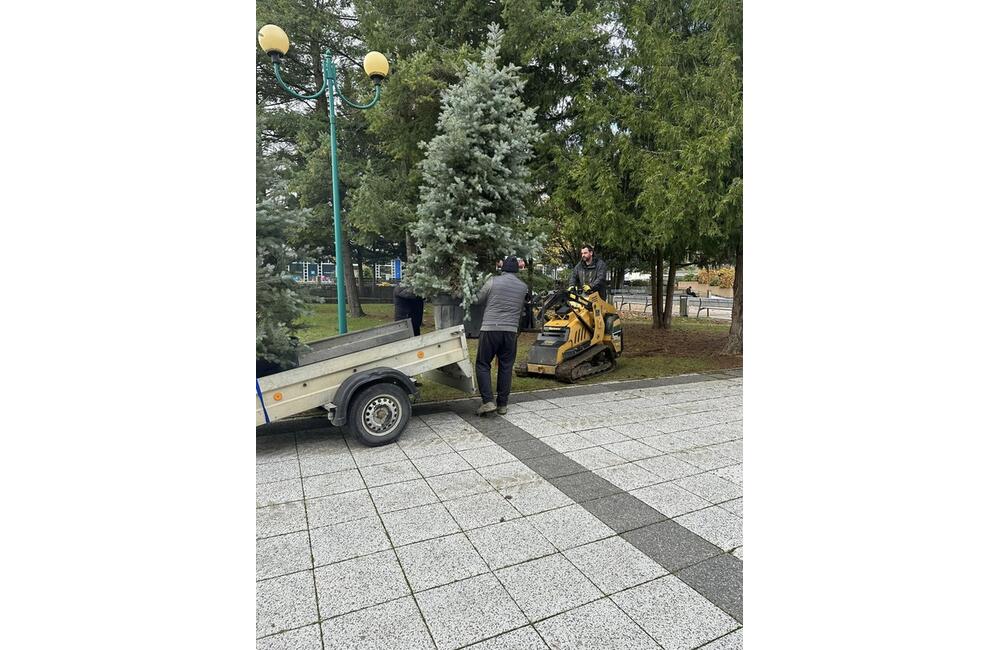 FOTO: S neodmysliteľnou súčasťou Vianoc si už v tomto meste na Považí nebudú musieť lámať hlavu, foto 5