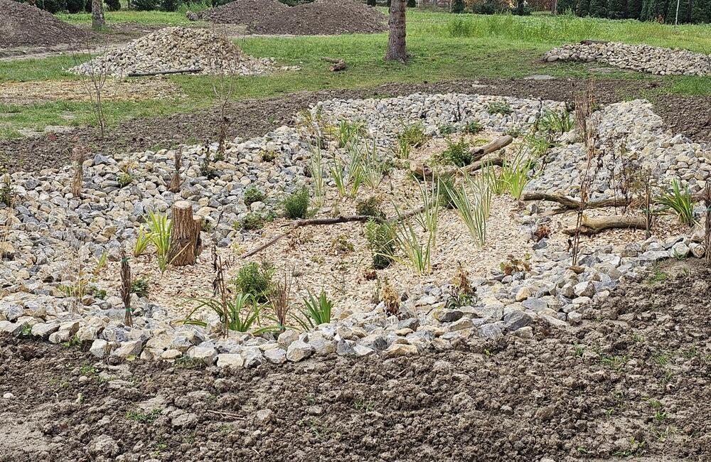 FOTO: Žiaci z Púchova vytvorili dažďovú záhradu, foto 5