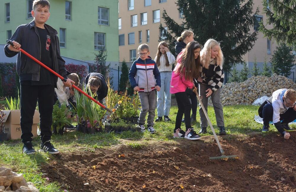 FOTO: Žiaci z Púchova vytvorili dažďovú záhradu, foto 7