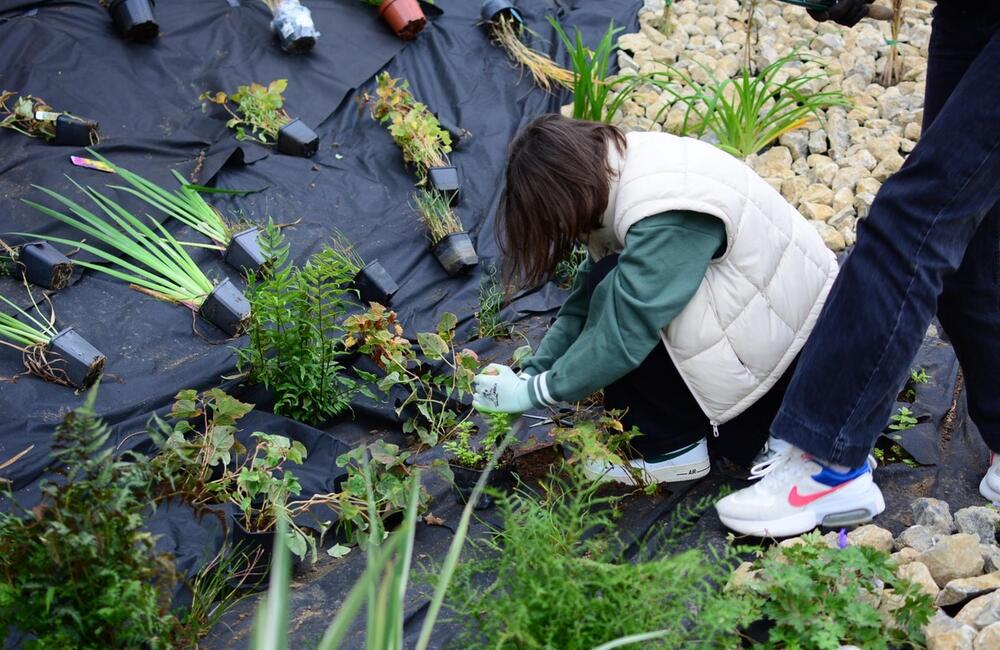 FOTO: Žiaci z Púchova vytvorili dažďovú záhradu, foto 16