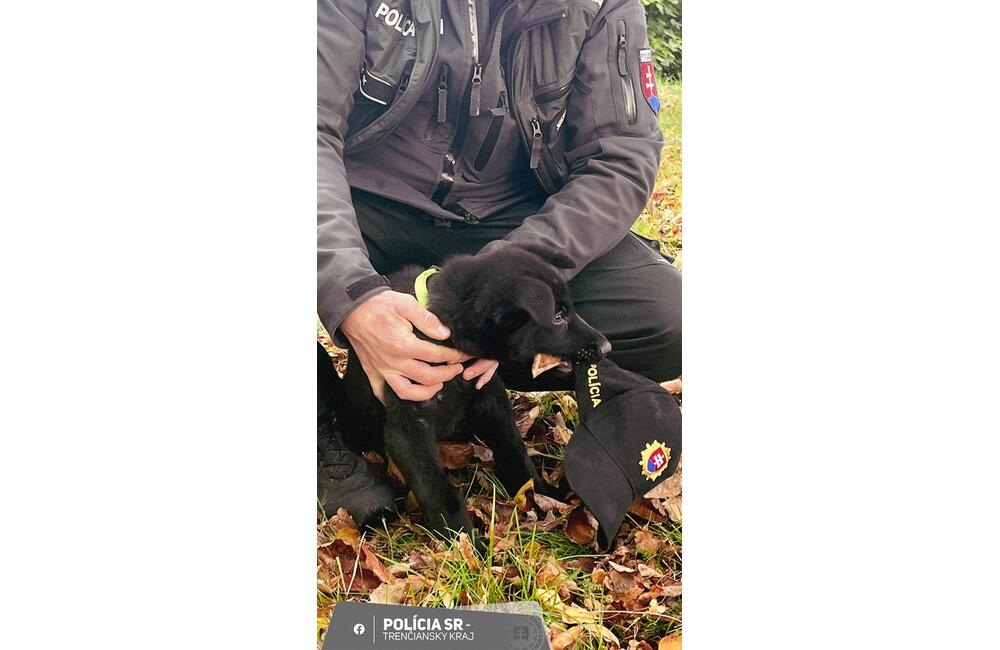 FOTO: Nový pomocník v radoch novomestskej polície, foto 4