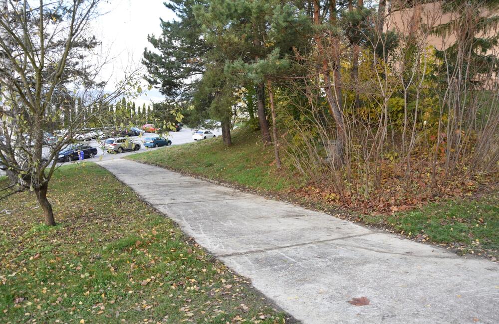 FOTO: Na najväčšom trenčianskom sídlisku obnovujú povrchy vytipovaných chodníkov, foto 2