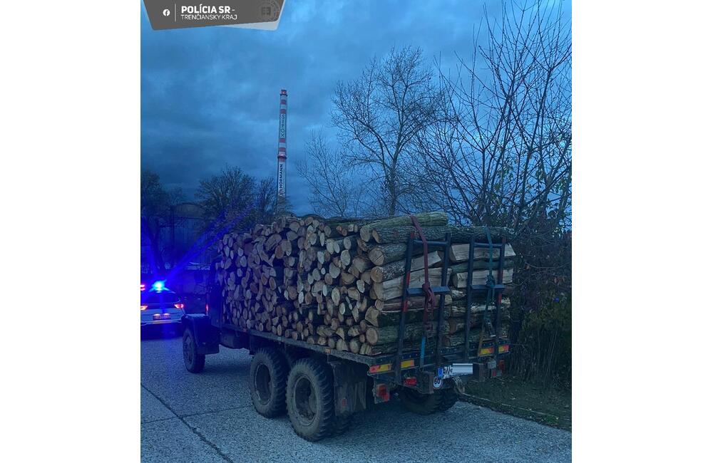 FOTO: Spíliť "pol lesa" sa päťdesiatnikovi nevyplatilo. Hrozí mu, že strávi za to až 2 roky za mrežami, foto 1