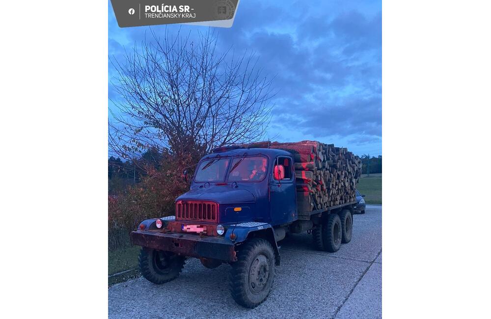 FOTO: Spíliť "pol lesa" sa päťdesiatnikovi nevyplatilo. Hrozí mu, že strávi za to až 2 roky za mrežami, foto 2