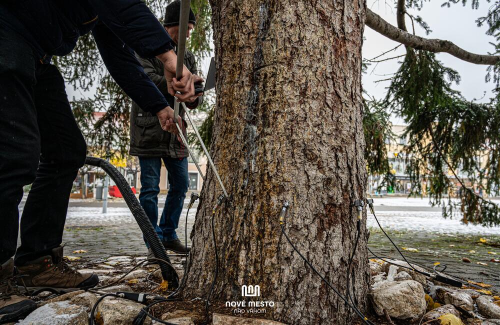 FOTO: Vianočný zázrak v meste na Považí. Novomošťenia nateraz o tradičný symbol Vianoc neprídu, foto 7