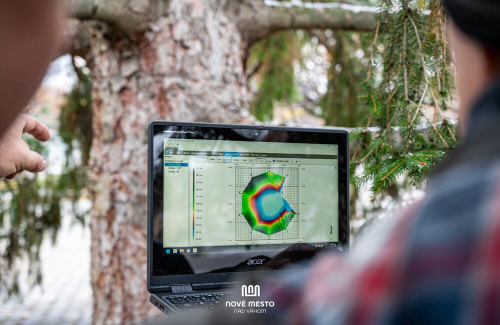 FOTO: Vianočný zázrak v meste na Považí. Novomošťenia nateraz o tradičný symbol Vianoc neprídu, foto 12