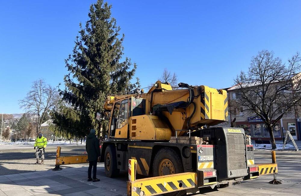 FOTO: Strastiplná životná púť tohtoročného vianočného stromu v Handlovej, foto 12