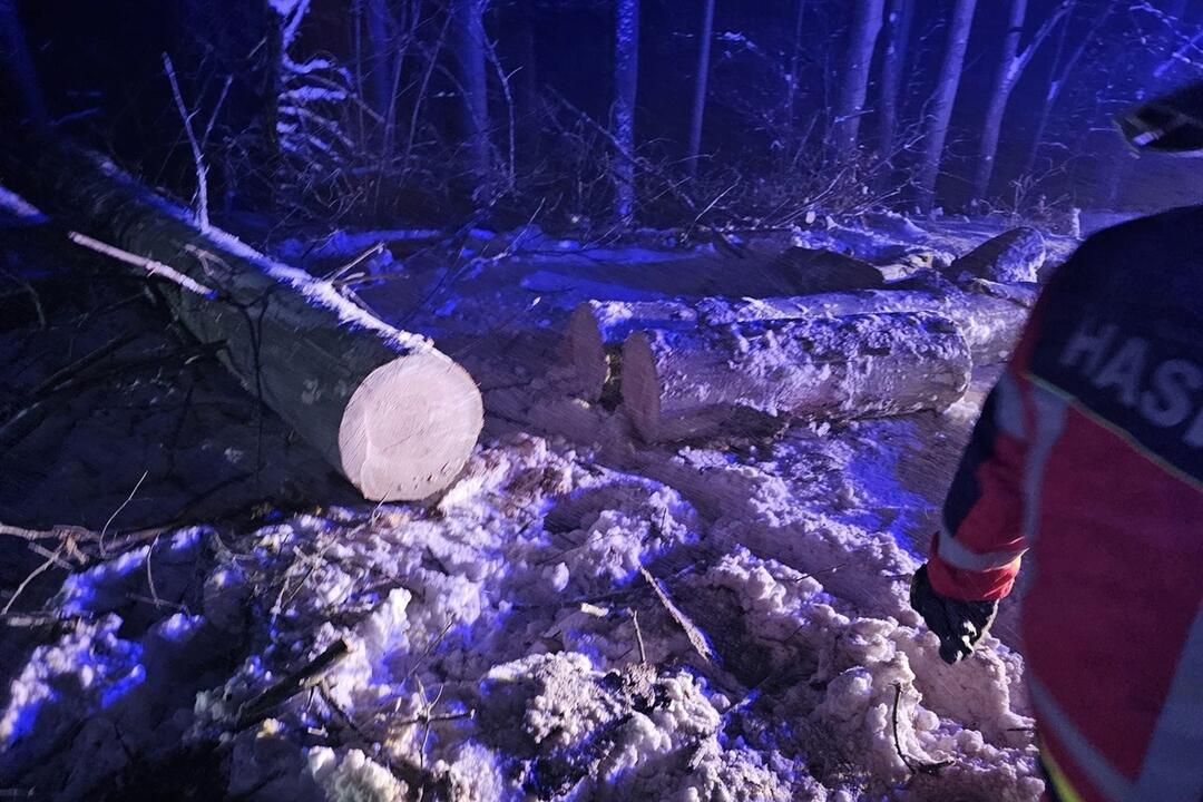 FOTO: Spadnutý strom uväznil niekoľko ľudí na ceste z Veľkej Javoriny. Vyslobodiť ich museli hasiči, foto 1
