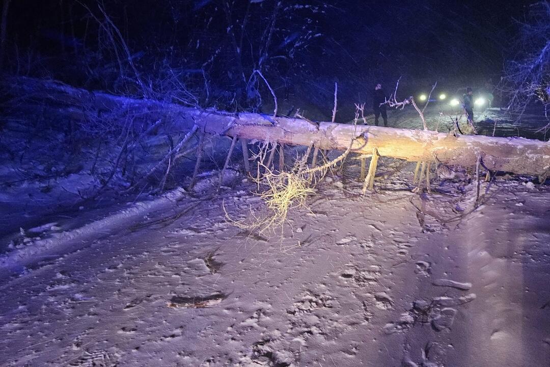 FOTO: Spadnutý strom uväznil niekoľko ľudí na ceste z Veľkej Javoriny. Vyslobodiť ich museli hasiči, foto 2