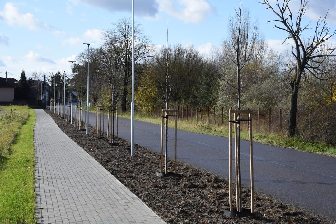 FOTO: Nozdrkovský chodník lemuje nové stromoradie. Samospráva do neho investovala tisíce eur, foto 5