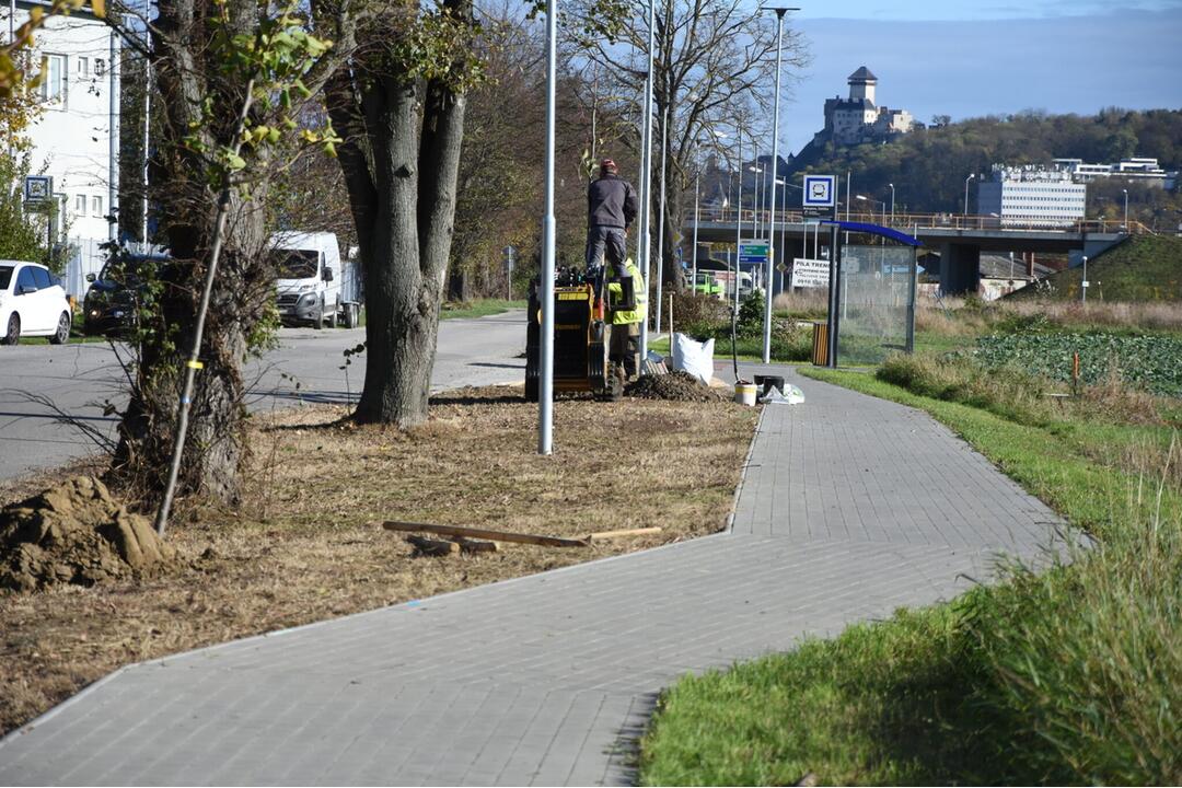 FOTO: Nozdrkovský chodník lemuje nové stromoradie. Samospráva do neho investovala tisíce eur, foto 6