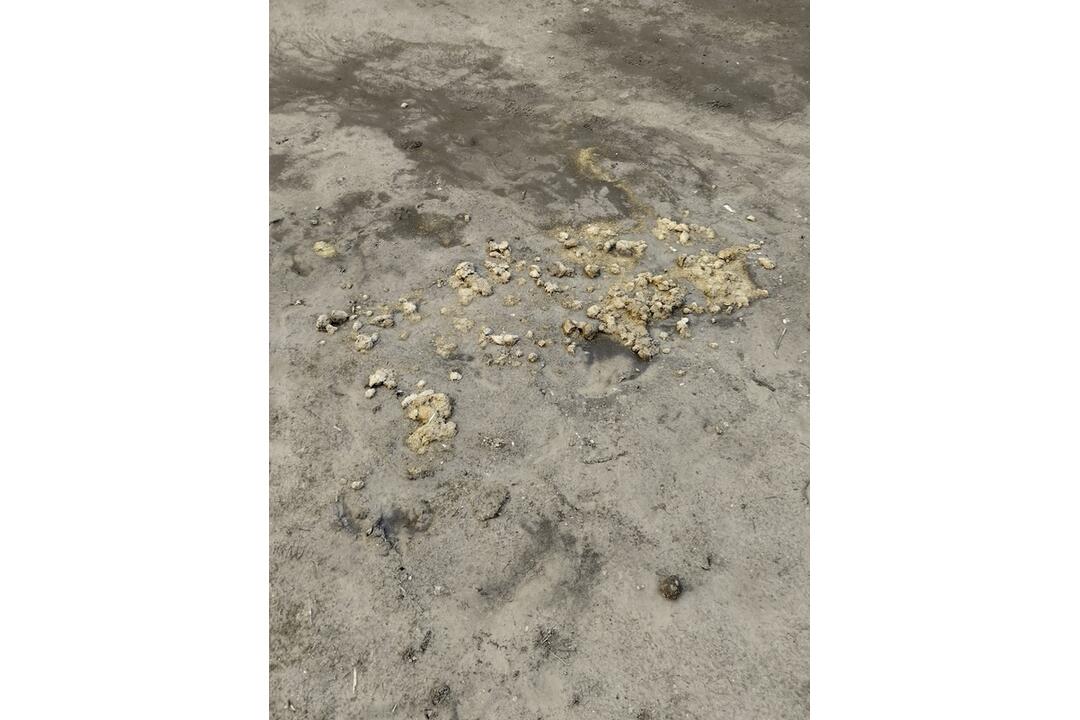 FOTO: Neuveriteľná drzosť. Do kultúrnej pamiatky nacválal na koňovi a zanechal tam po sebe hotovú spúšť, foto 2