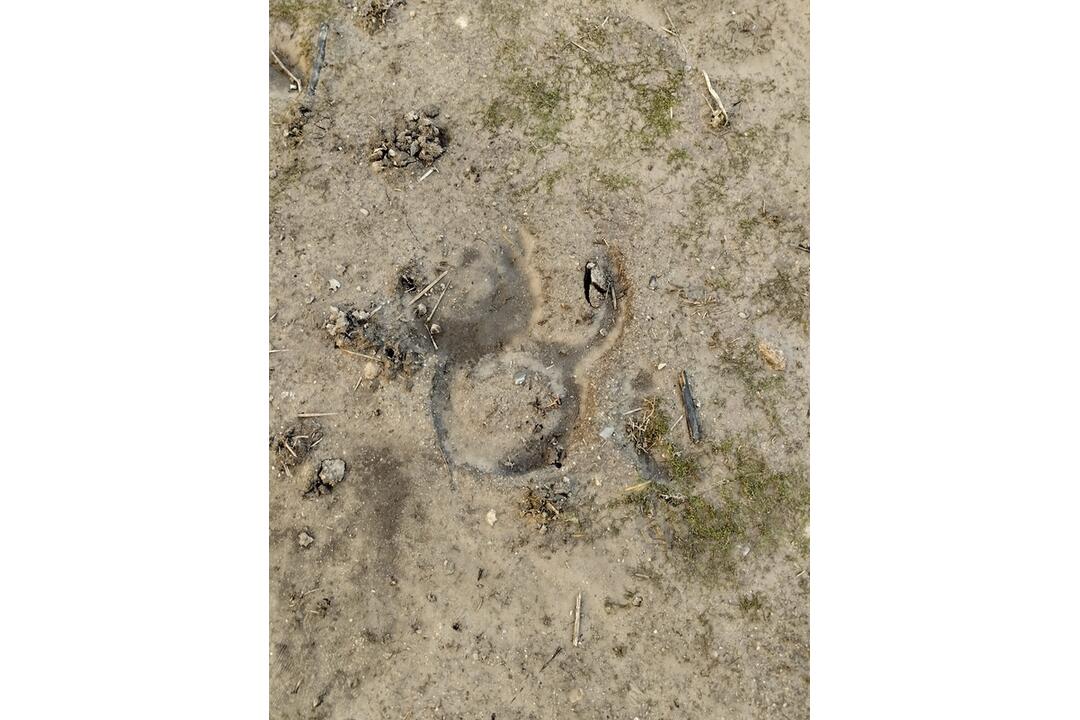 FOTO: Neuveriteľná drzosť. Do kultúrnej pamiatky nacválal na koňovi a zanechal tam po sebe hotovú spúšť, foto 3