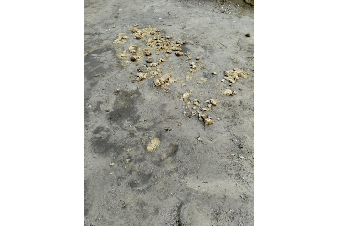 FOTO: Neuveriteľná drzosť. Do kultúrnej pamiatky nacválal na koňovi a zanechal tam po sebe hotovú spúšť, foto 4