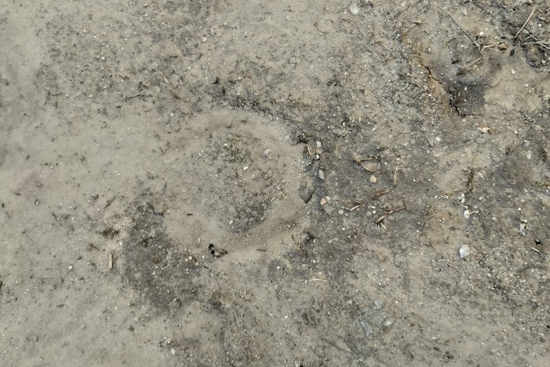 FOTO: Neuveriteľná drzosť. Do kultúrnej pamiatky nacválal na koňovi a zanechal tam po sebe hotovú spúšť, foto 5