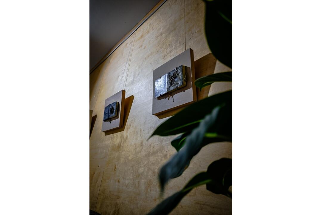 FOTO: Výstava Ukryté v knihách od výtvarníčky Isobelle Ouzman, foto 2