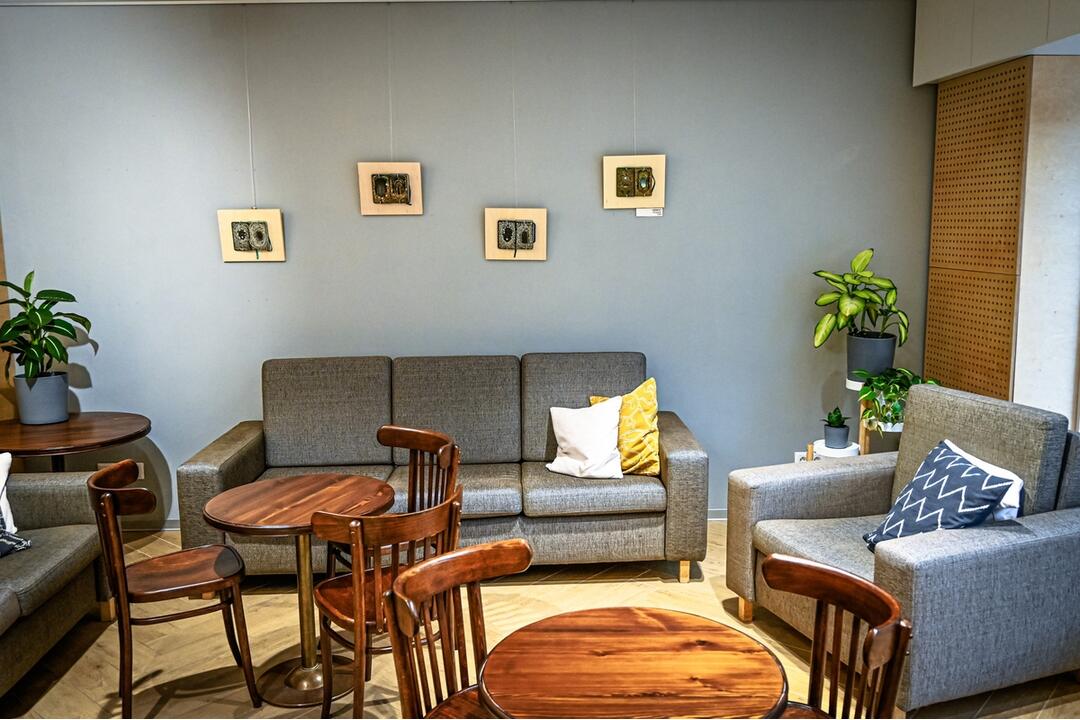 FOTO: Výstava Ukryté v knihách od výtvarníčky Isobelle Ouzman, foto 4