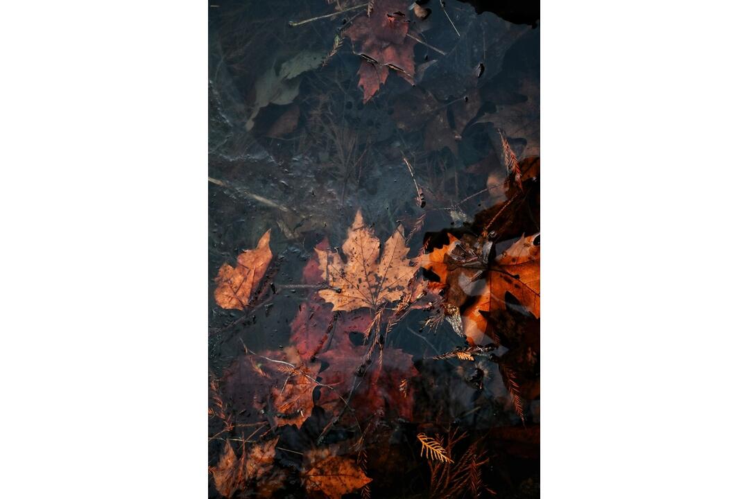FOTO: Mrazivá zima v kúpeľoch na Považí očami fotografa. Viete o tajomstvách, ktoré mesto ukrýva?, foto 11